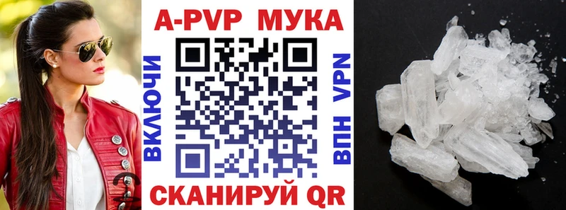 A PVP СК Новоржев