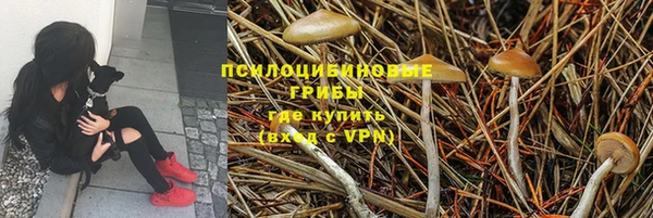 мяу мяу мука Верхнеуральск