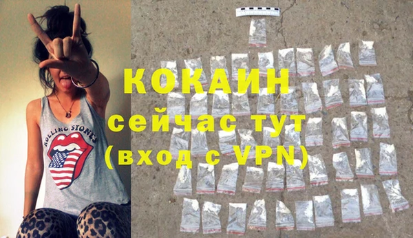 дживик Богородицк